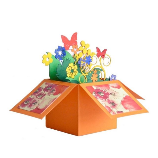 Orange 3D Box with Flowers