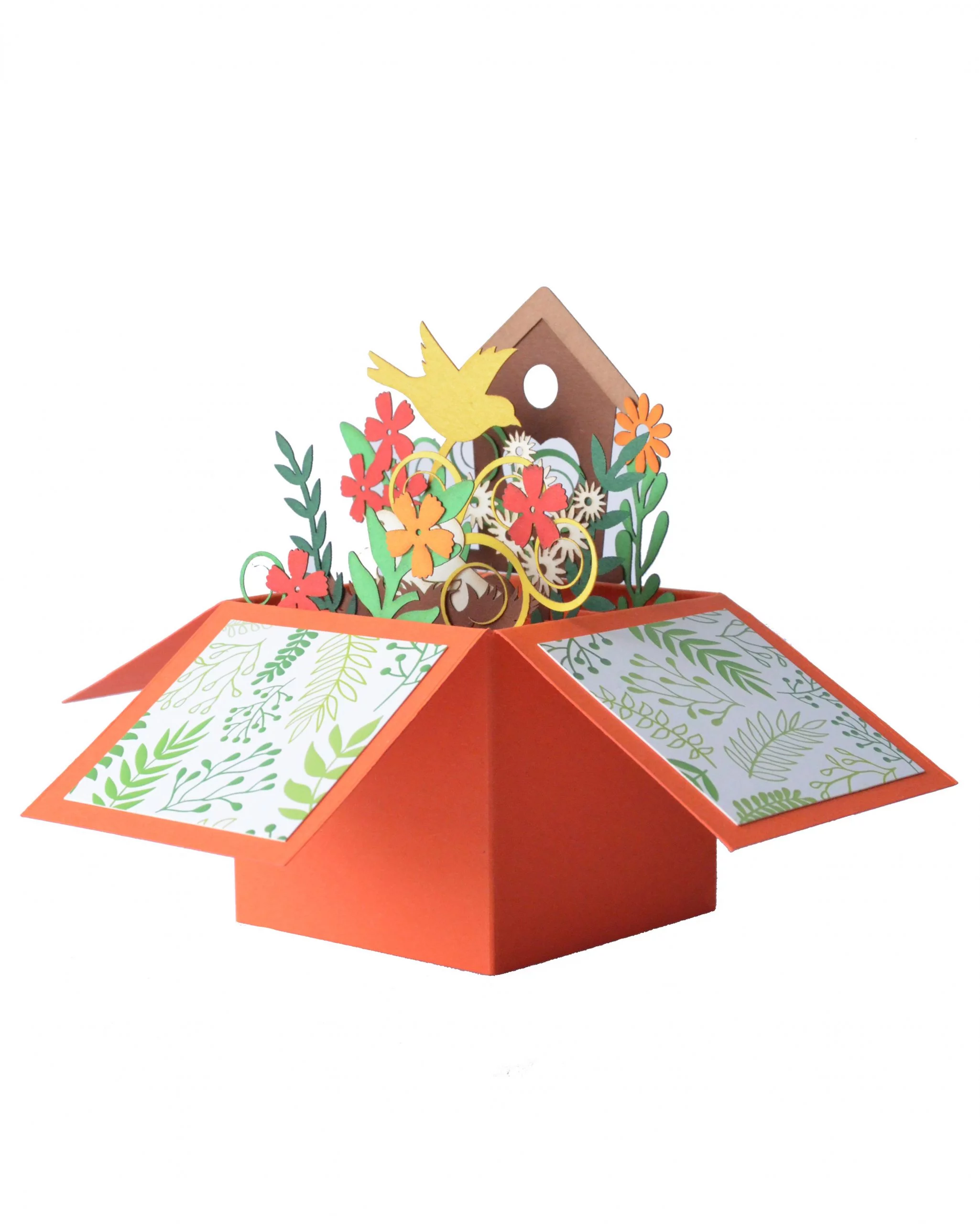 Coral 3D Greeting Box