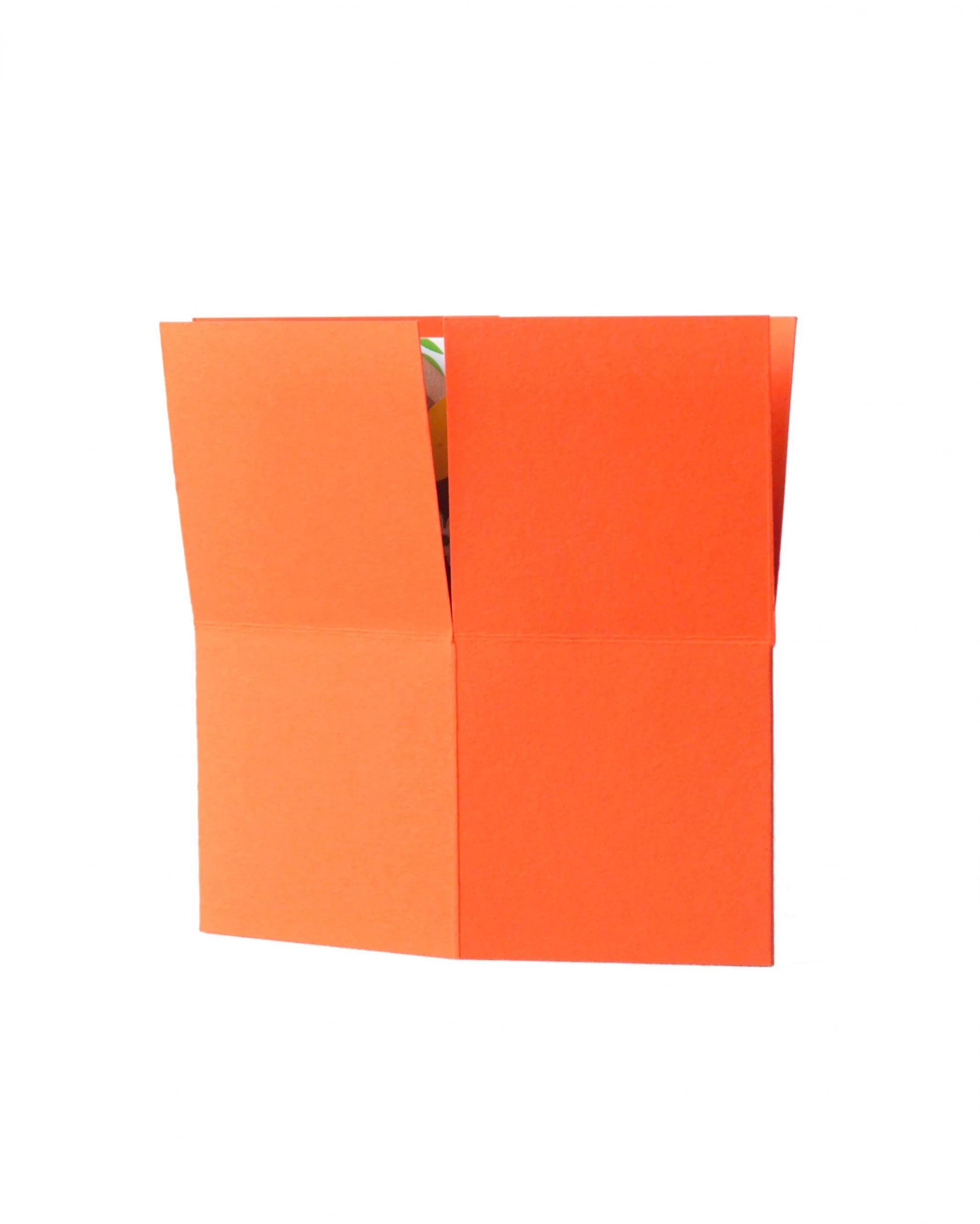 Coral 3D Greeting Box - Image 2